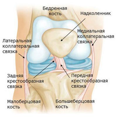 Лигаментит коленного сустава: воспалительный процесс, причины и как лечить